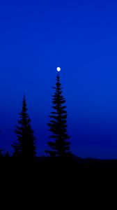 Preview wallpaper trees, silhouettes, sky, night, dark, blue