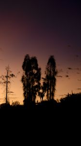Preview wallpaper trees, silhouettes, sky, evening