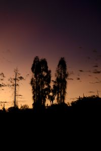 Preview wallpaper trees, silhouettes, sky, evening
