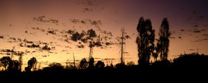 Preview wallpaper trees, silhouettes, sky, evening