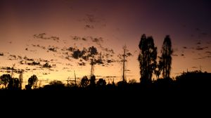 Preview wallpaper trees, silhouettes, sky, evening