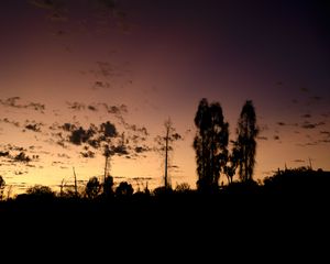 Preview wallpaper trees, silhouettes, sky, evening