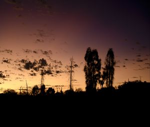 Preview wallpaper trees, silhouettes, sky, evening