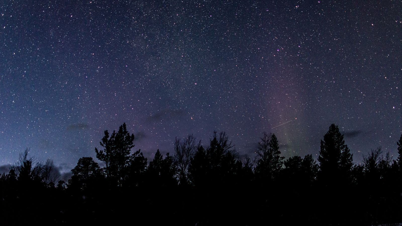 1600x900 Wallpaper trees, silhouettes, starry night, dark