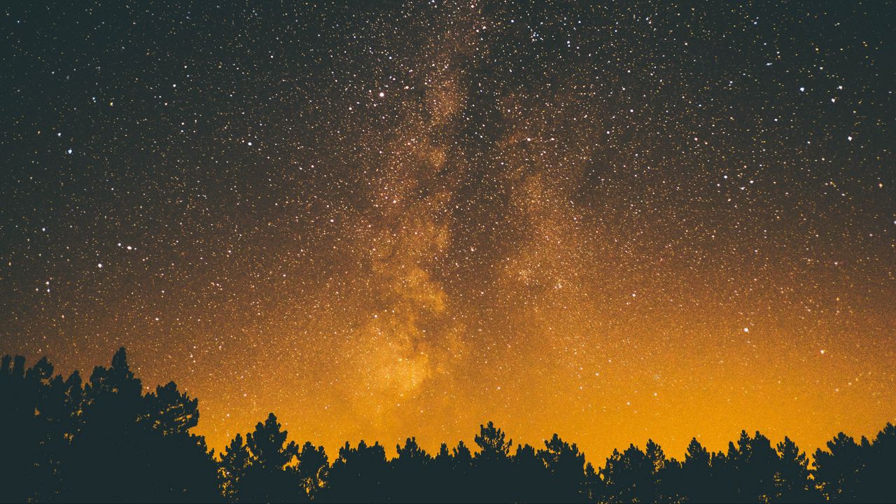 Wallpaper trees, silhouettes, starry sky, night, dark