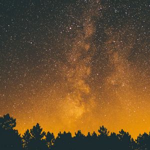 Preview wallpaper trees, silhouettes, starry sky, night, dark