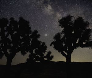 Preview wallpaper trees, silhouettes, starry sky, dark, night
