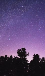 Preview wallpaper trees, silhouettes, starry sky, night