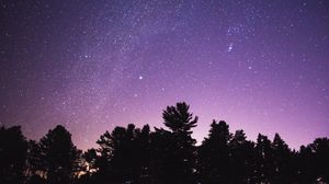 Preview wallpaper trees, silhouettes, starry sky, night
