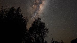 Preview wallpaper trees, silhouettes, starry sky, milky way, night, dark