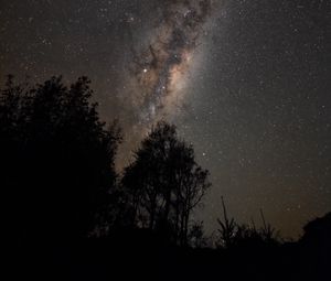 Preview wallpaper trees, silhouettes, starry sky, milky way, night, dark