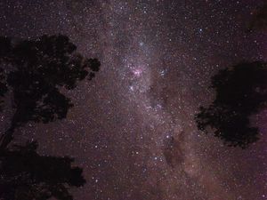 Preview wallpaper trees, silhouettes, starry sky, stars, space, night, dark