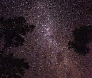 Preview wallpaper trees, silhouettes, starry sky, stars, space, night, dark