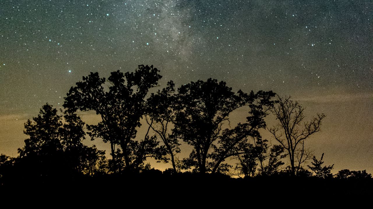 Wallpaper trees, silhouettes, starry sky, night, river, reflection