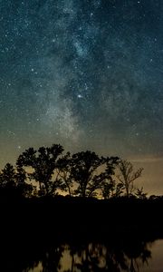 Preview wallpaper trees, silhouettes, starry sky, night, river, reflection