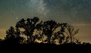 Preview wallpaper trees, silhouettes, starry sky, night, river, reflection