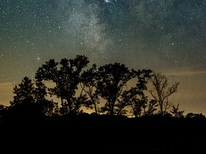 Preview wallpaper trees, silhouettes, starry sky, night, river, reflection