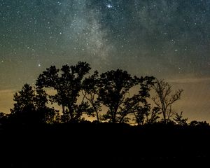Preview wallpaper trees, silhouettes, starry sky, night, river, reflection