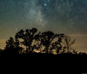 Preview wallpaper trees, silhouettes, starry sky, night, river, reflection