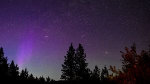Preview wallpaper trees, silhouettes, starry sky, night, nature