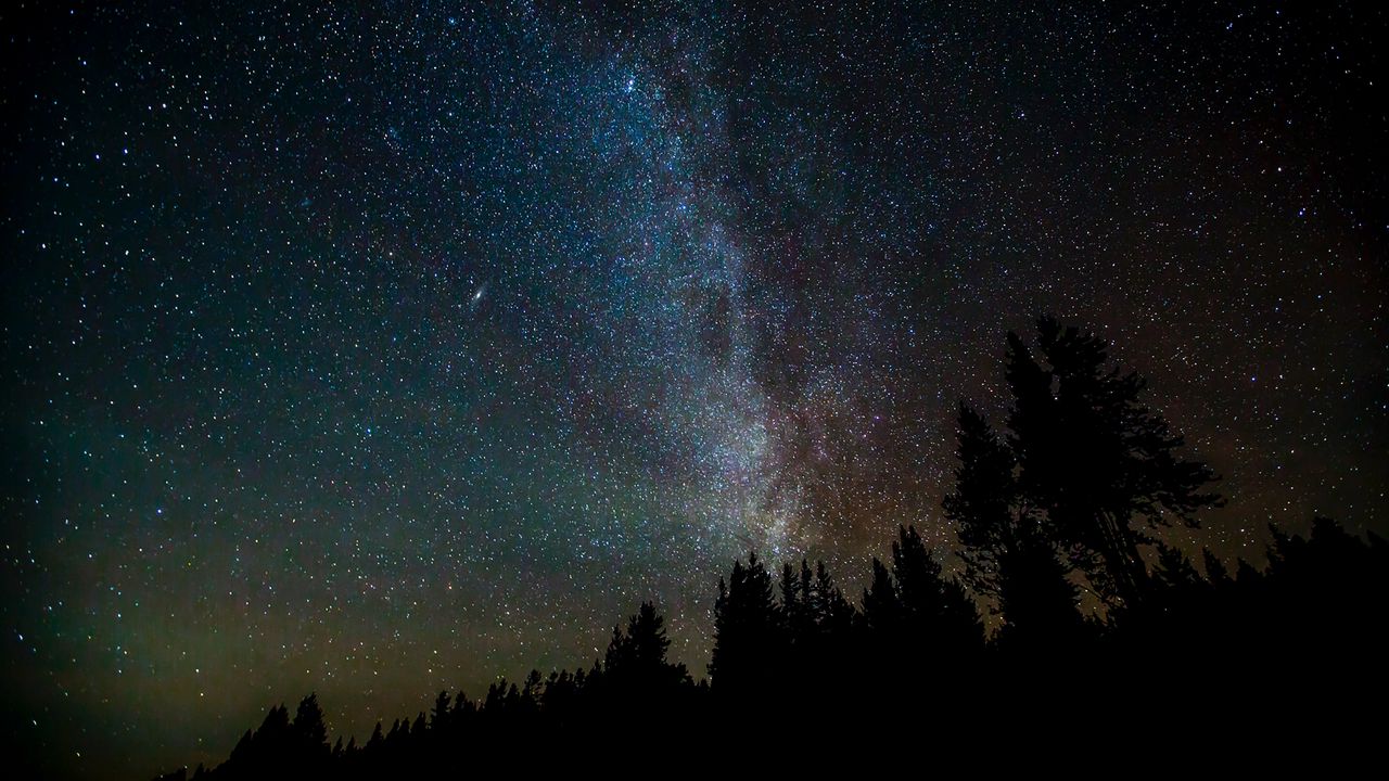 Wallpaper trees, silhouettes, stars, sky, night, dark