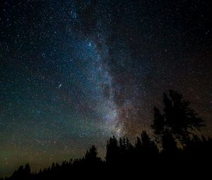 Preview wallpaper trees, silhouettes, stars, sky, night, dark