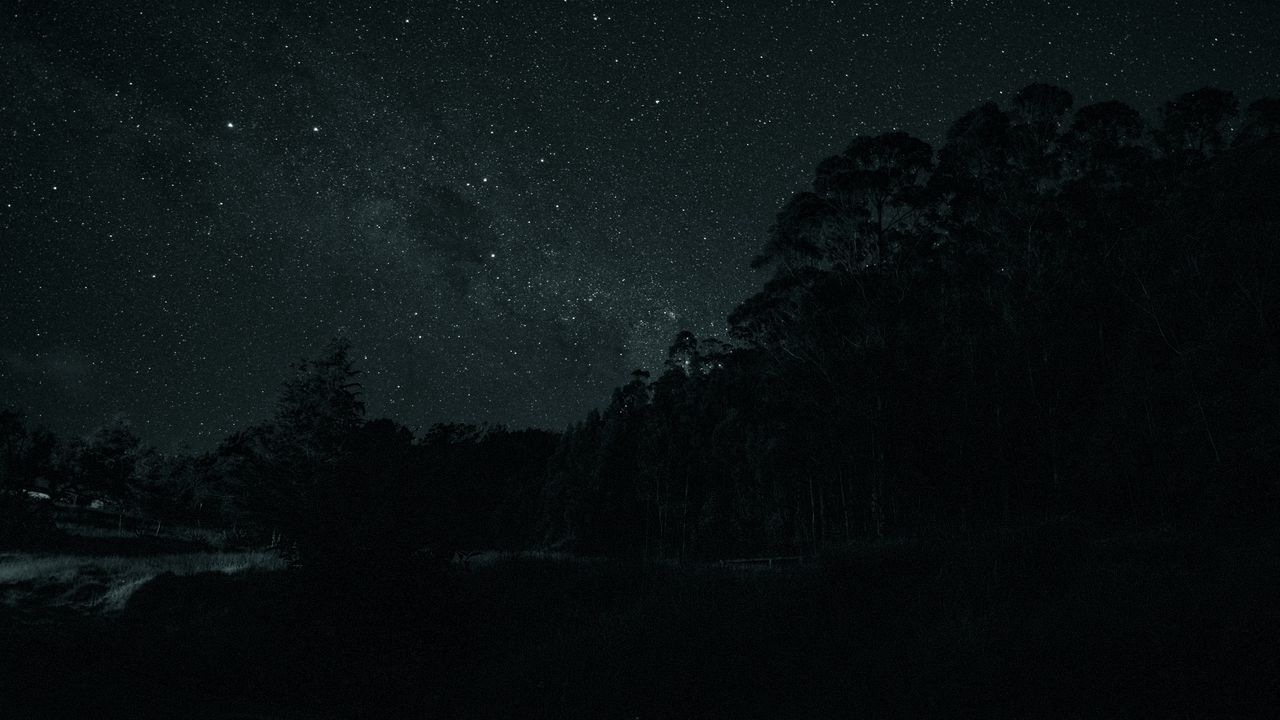 Wallpaper trees, silhouettes, stars, night, dark