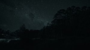 Preview wallpaper trees, silhouettes, stars, night, dark