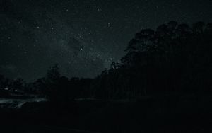 Preview wallpaper trees, silhouettes, stars, night, dark