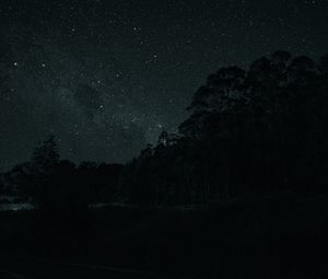 Preview wallpaper trees, silhouettes, stars, night, dark