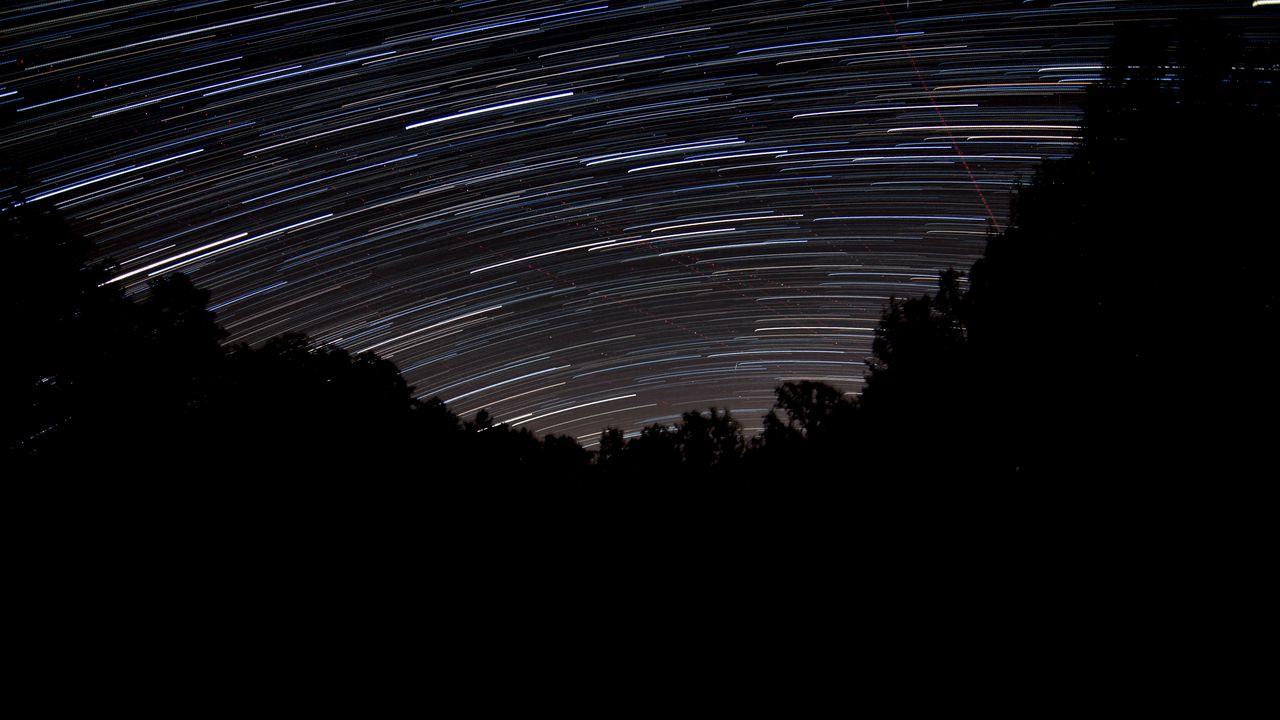 Wallpaper trees, silhouettes, stars, long exposure, dark