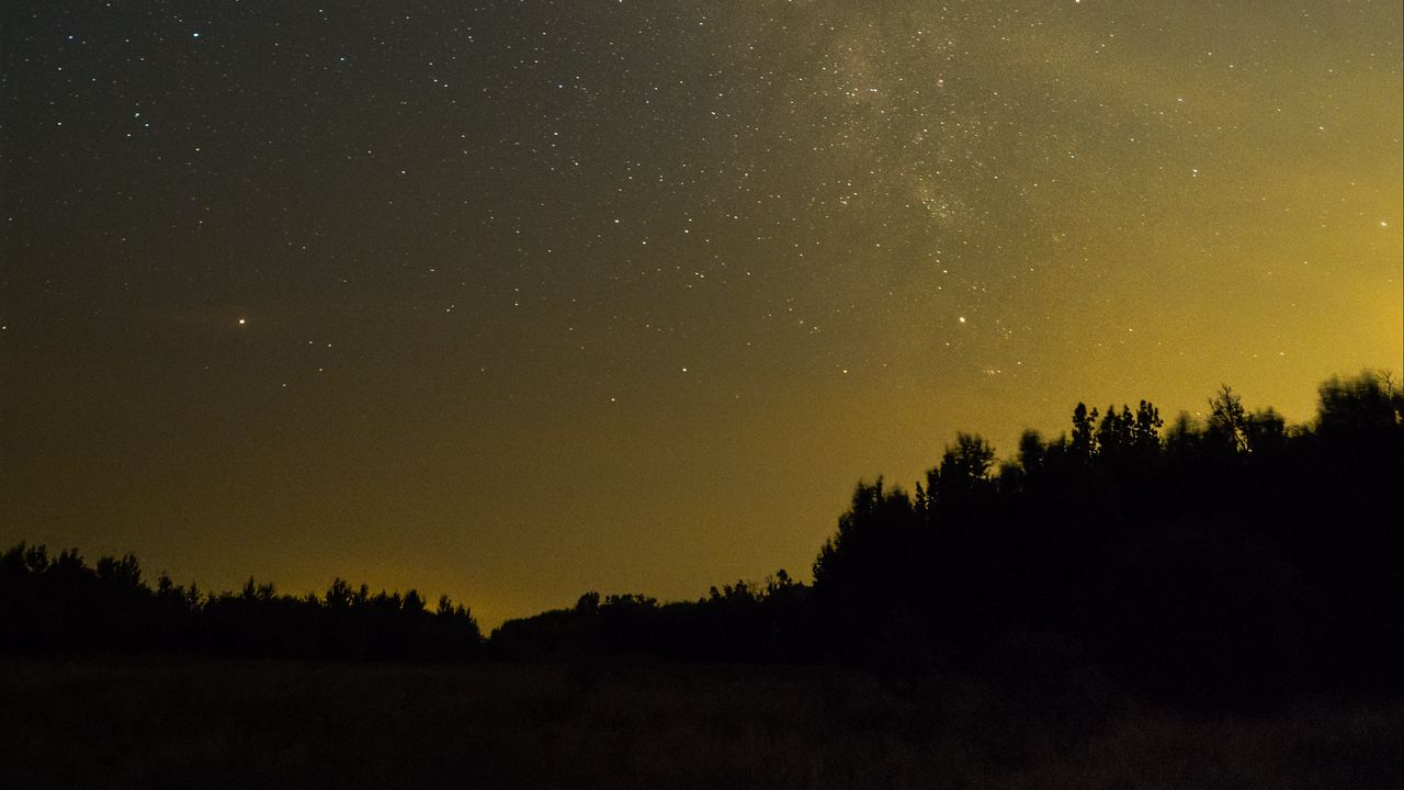 Wallpaper trees, silhouettes, stars, night, sky, dark