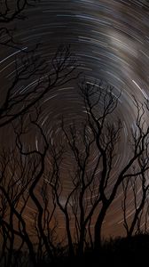 Preview wallpaper trees, silhouettes, stars, rotation, long exposure, dark