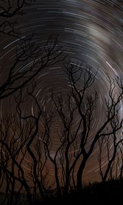 Preview wallpaper trees, silhouettes, stars, rotation, long exposure, dark