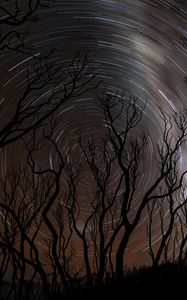 Preview wallpaper trees, silhouettes, stars, rotation, long exposure, dark