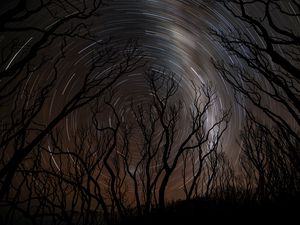 Preview wallpaper trees, silhouettes, stars, rotation, long exposure, dark