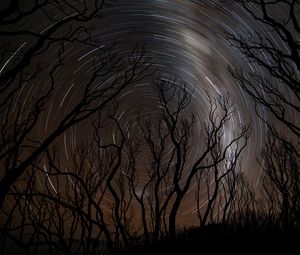 Preview wallpaper trees, silhouettes, stars, rotation, long exposure, dark