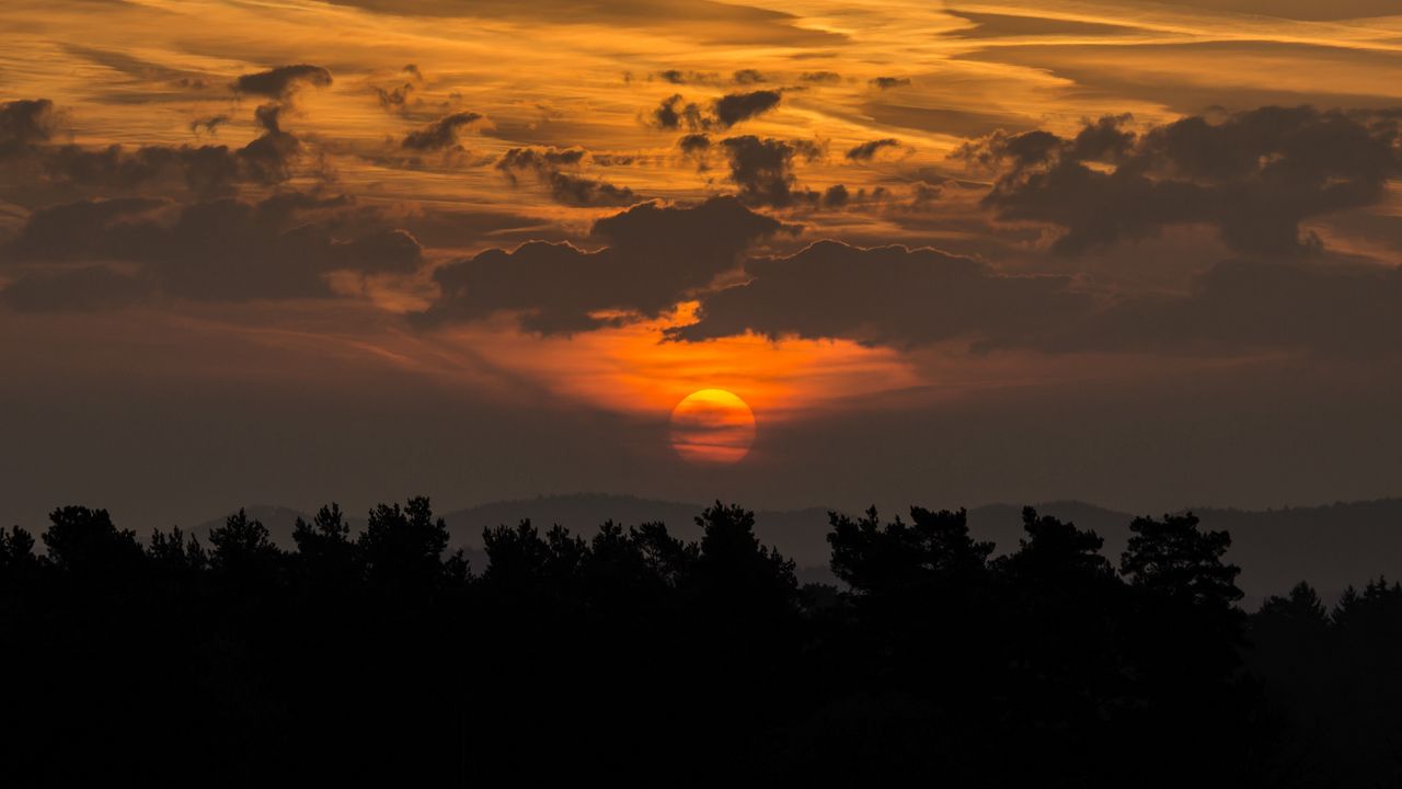 Wallpaper trees, silhouettes, sun, twilight, dark
