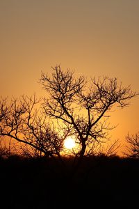 Preview wallpaper trees, silhouettes, sunset, dark, sun