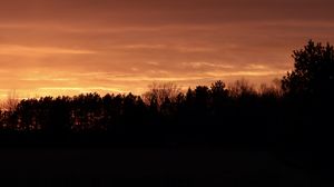 Preview wallpaper trees, silhouettes, sunset, dusk, dark
