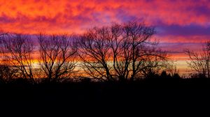 Preview wallpaper trees, silhouettes, sunset, dusk, dark, sky