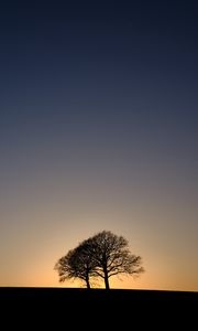 Preview wallpaper trees, silhouettes, sunset, dark