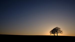 Preview wallpaper trees, silhouettes, sunset, dark