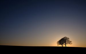 Preview wallpaper trees, silhouettes, sunset, dark