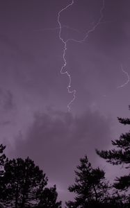 Preview wallpaper trees, silhouettes, thunderstorm, lightning, dark