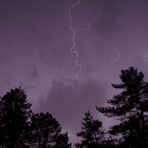 Preview wallpaper trees, silhouettes, thunderstorm, lightning, dark
