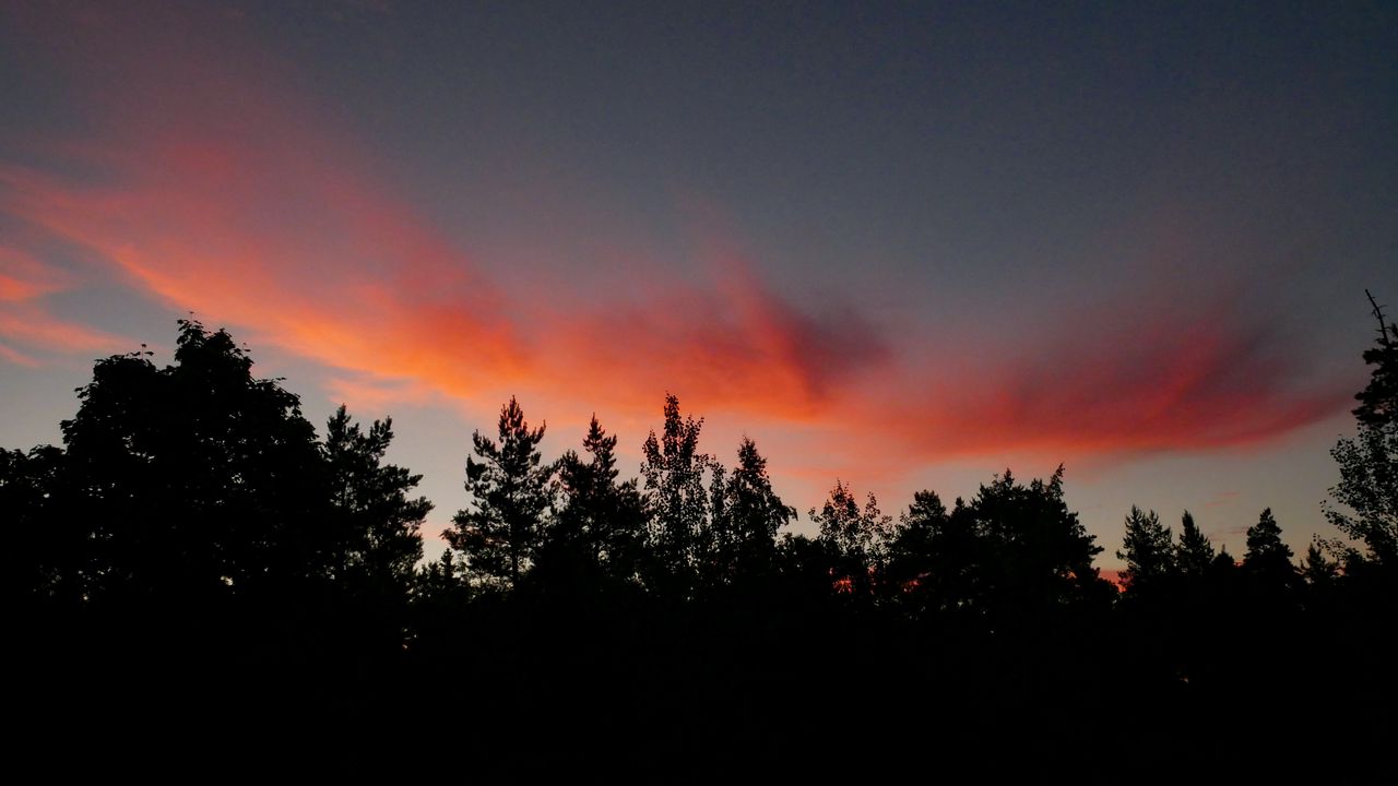 Wallpaper trees, silhouettes, twilight, clouds, dark