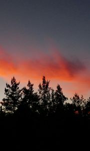 Preview wallpaper trees, silhouettes, twilight, clouds, dark