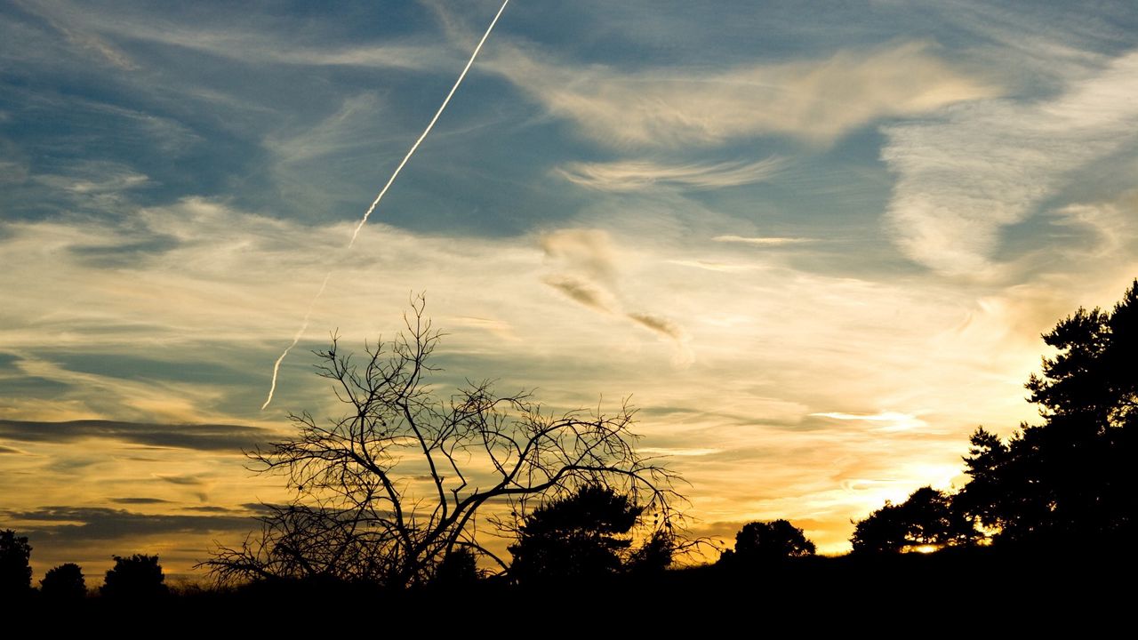 Wallpaper trees, silhouettes, twilight, evening, sky, plane, traces