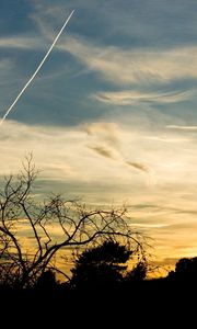 Preview wallpaper trees, silhouettes, twilight, evening, sky, plane, traces